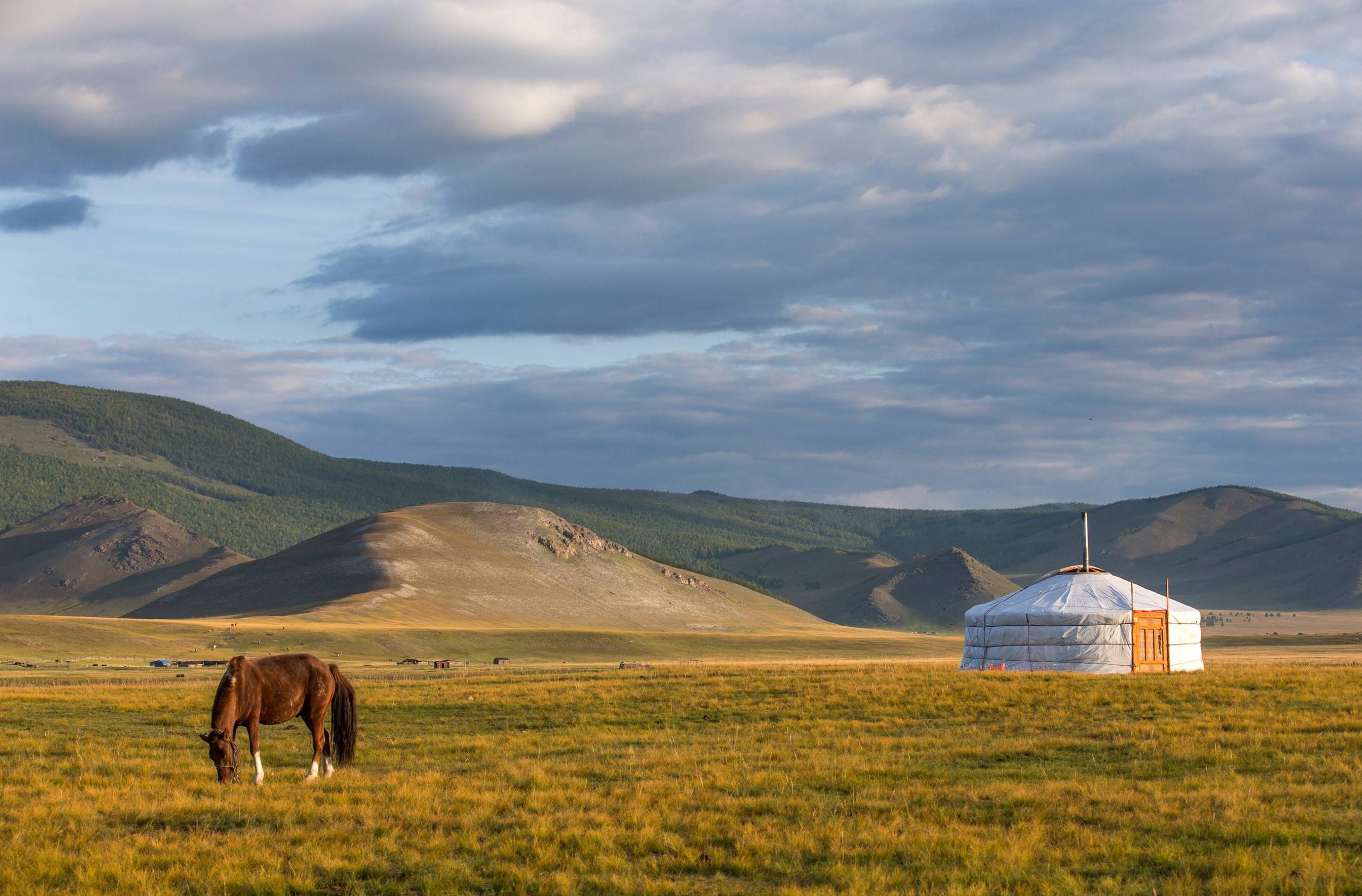 Mongolia’s Wild Freedom