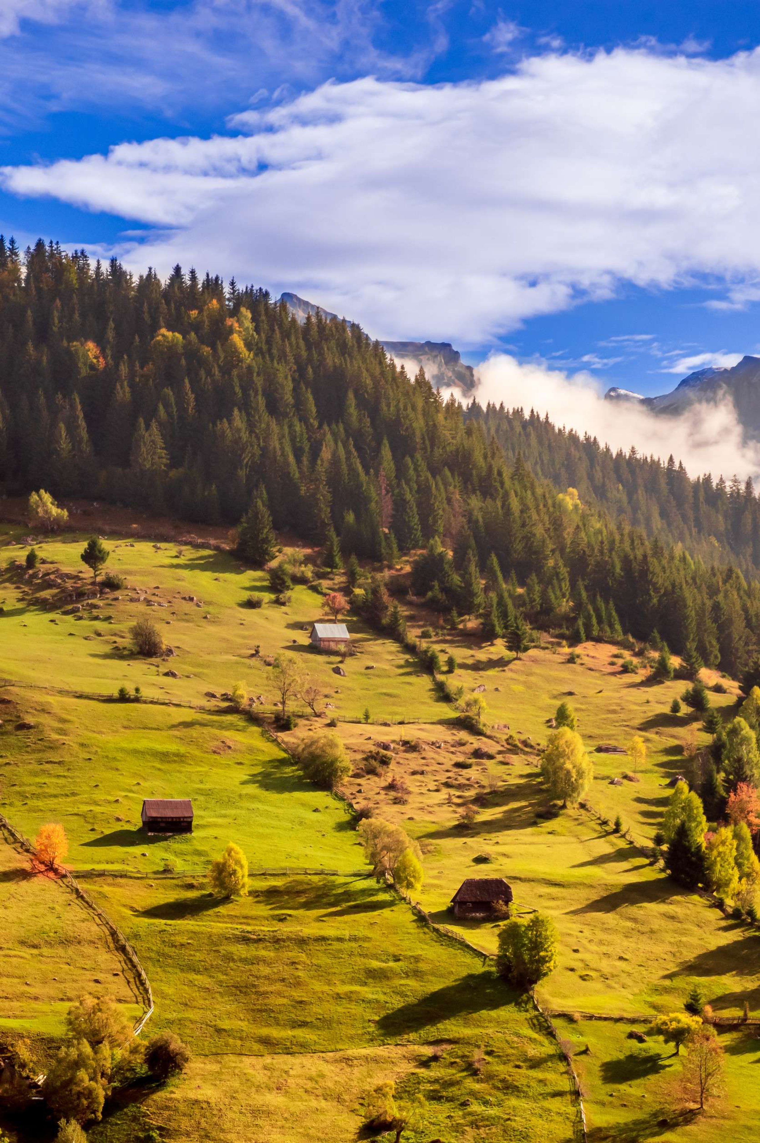 Romanian countryside with autumn foliage
