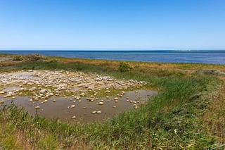 National park of Azerbaijan in the Caspian Hyrcanian mixed forests 