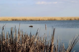 Absheron National Park