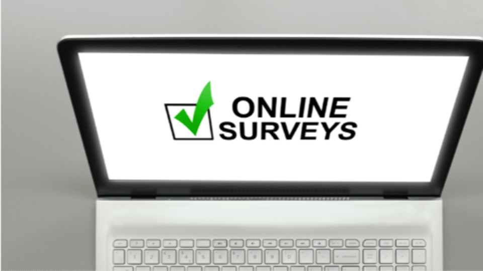 Earning Money through Online Surveys