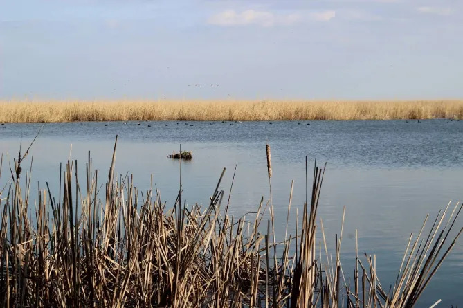 アブシェロン国立公園