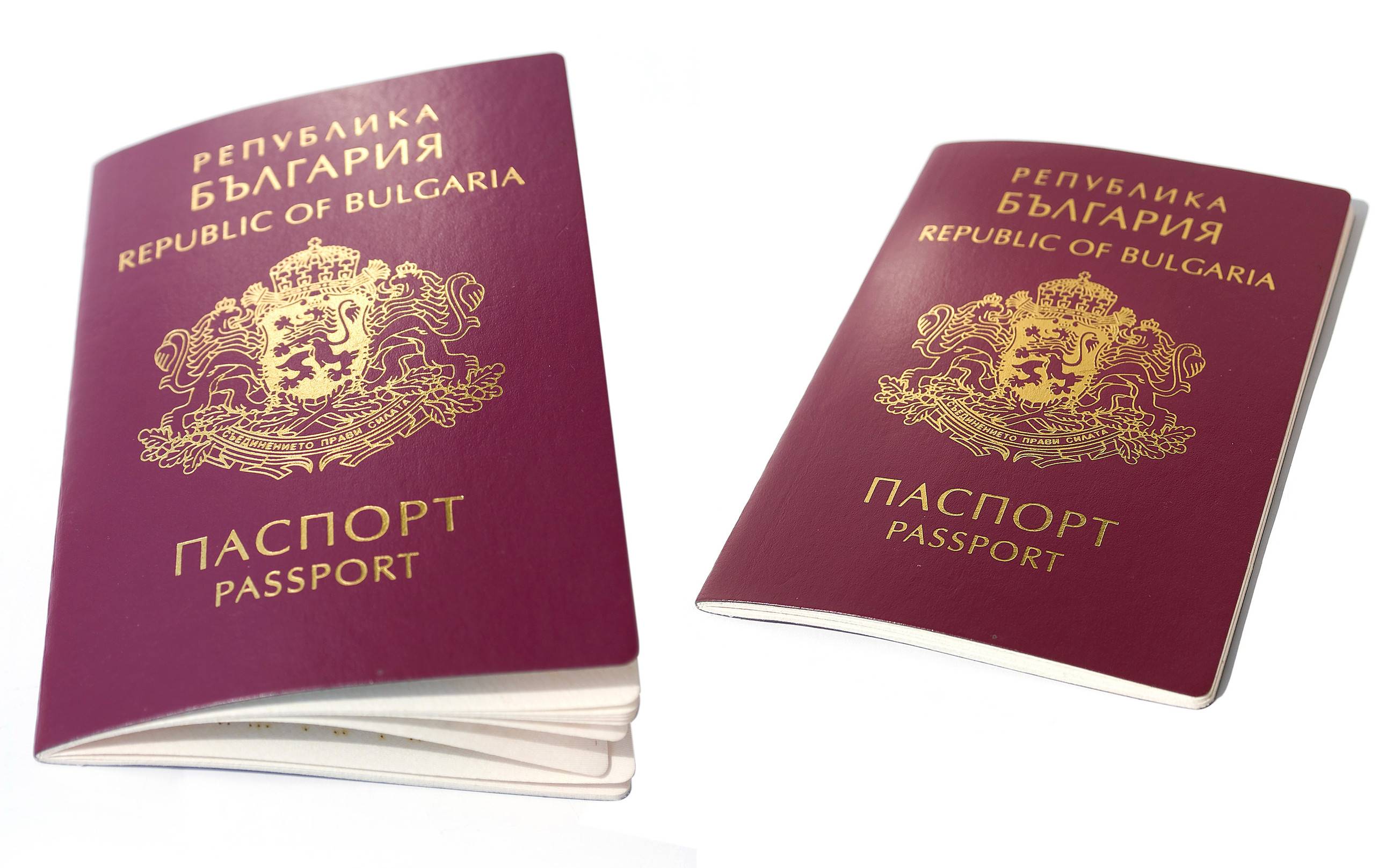Pasaporte búlgaro aislado sobre fondo blanco